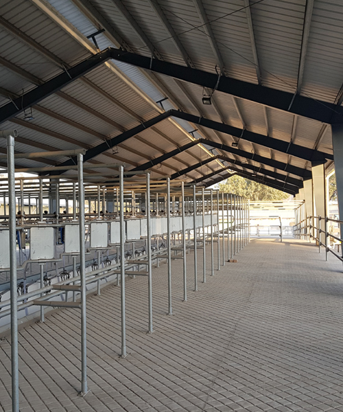 Dairy Parking Shed (Reco)